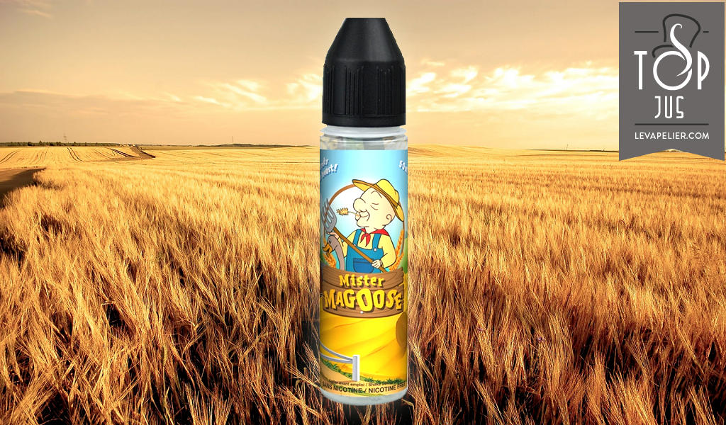 Mister Magoose par C Liquide France