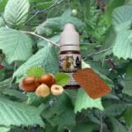 Squirrel's Surprise (Gamme Vaping Animals) par Ohmist