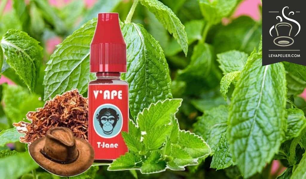 T-Jane (Gamme Red) par V’ape