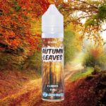 Autumn Leaves (Gamme Se4sons) par High Vaping