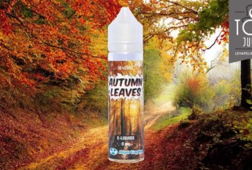 Autumn Leaves (Gamme Se4sons) par High Vaping