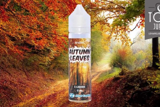 Autumn Leaves (Gamme Se4sons) par High Vaping