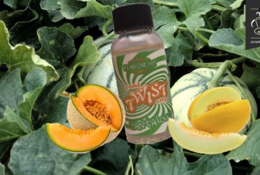 Cantaloup (Twist) par Flavor hit