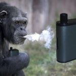 Gusto Mini par Aspire