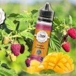 Mangue Framboise (Gamme Tasty) par Liquidarom