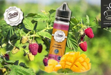 Mangue Framboise (Gamme Tasty) par Liquidarom