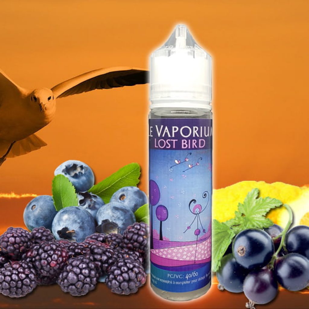 Lost Bird (Gamme Haiku) par Le Vaporium