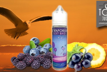 Lost Bird (Gamme Haiku) par Le Vaporium