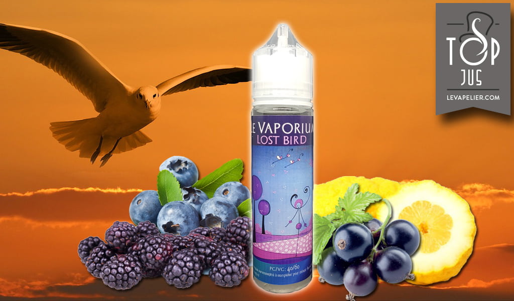 Lost Bird (Gamme Haiku) par Le Vaporium