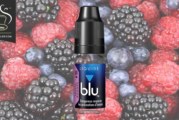 Fruits Rouges par blu