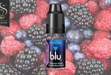 Fruits Rouges par blu