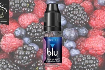 Fruits Rouges par blu