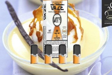 Ile Flottante par Vaze