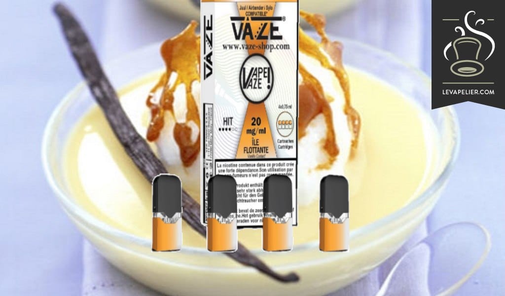 Ile Flottante par Vaze