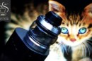 Gear RTA par OFRF