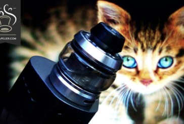 Gear RTA par OFRF