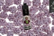 Purpelette par Solana