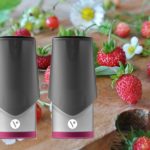 Fruits des Bois par Vype