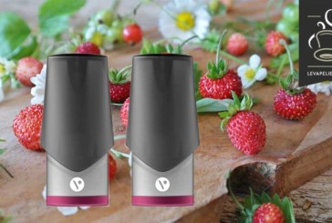 Fruits des Bois par Vype