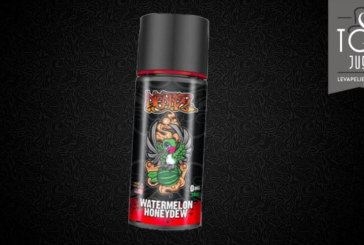 Watermelon Honeydew par Pico Fizz – My’s Vaping