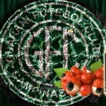 Guarana Ambré par Nhoss