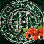 Guarana Ambré par Nhoss