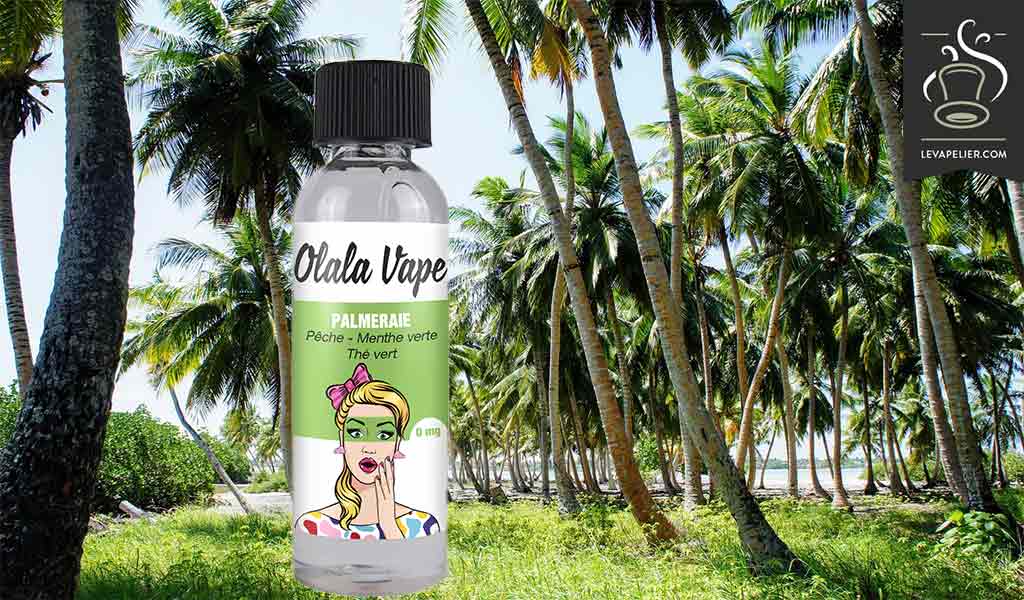 Palmeraie par Olala Vape