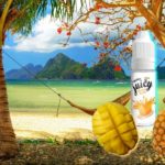 Juicy Mangue Ananas (Gamma Tentation) par Liquidéo