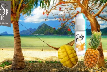 Juicy Mangue Ananas (Gamma Tentation) par Liquidéo