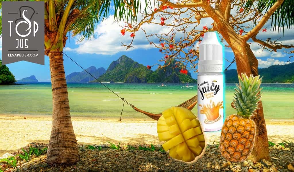 Juicy Mangue Ananas (Gamma Tentation) par Liquidéo