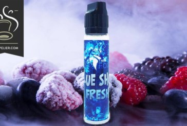 Blue Shot Fresh (Gamme LBV Fox) par Laboravape