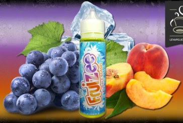 Purple Beach (Gamme Fruizee 50ml) par Eliquid France