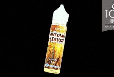 Autumn Leaves (Gamme Se4sons) par High Vaping