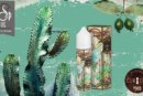 Cactus Goyave par Curieux