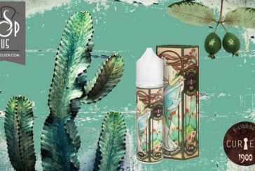 Cactus Goyave par Curieux