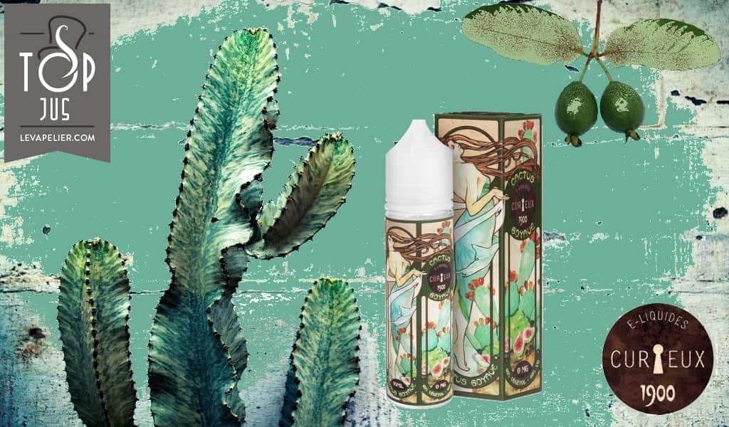 Cactus Goyave par Curieux