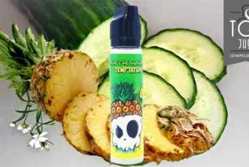 Pineapple Cucumber Temptation (Gamme LBV Fox) par LaboraVape