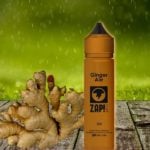 Ginger Ale par Zap Juice