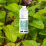 Menthe Nanah par Solana