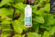 Menthe Nanah par Solana