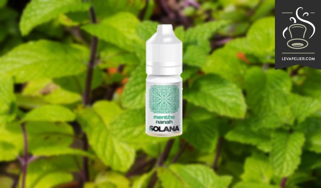 Menthe Nanah par Solana