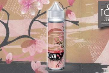 Sakura Berries (Gamme Yakuza) par Vapeur France