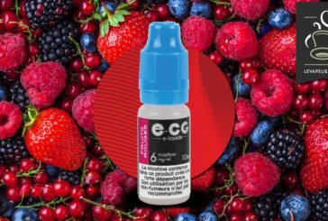 Fruits Rouges (Gamme Initiale) par e-CG