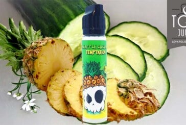 Pineapple Cucumber Temptation (Gamme LBV Fox) par Laboravape