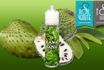 Kawabana (Gamme Fruités/Premiums) par BioConcept