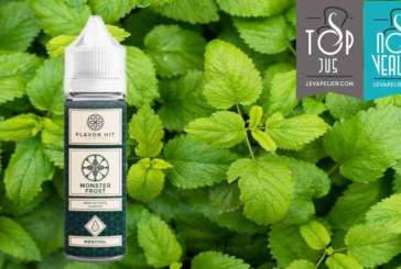 Monster Frost par Flavor Hit Vaping Club