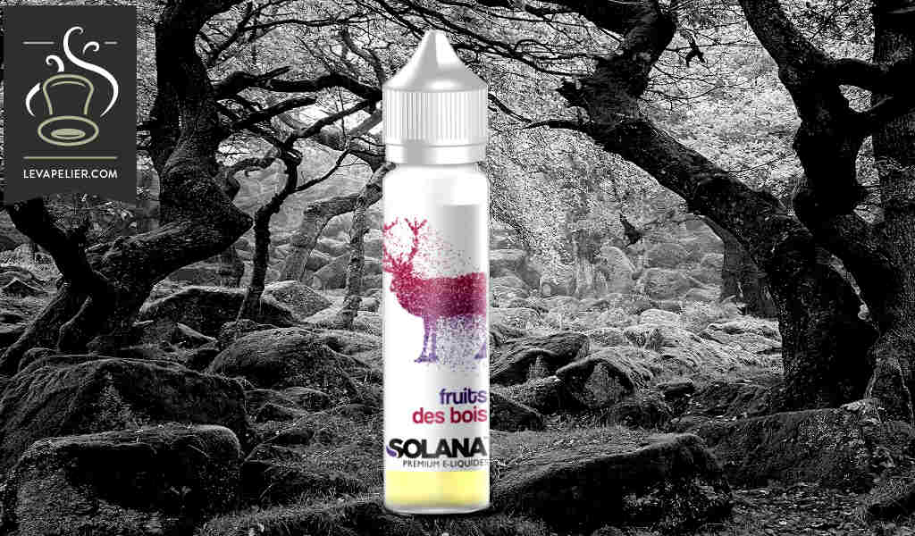 Fruits des Bois par Solana