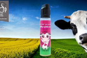 Ptit Yaourt Framboise (Gamme LBV Fox) par Laboravape