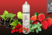 Ice Berries (Gamme Eternal Summer) par Vaping In Paris