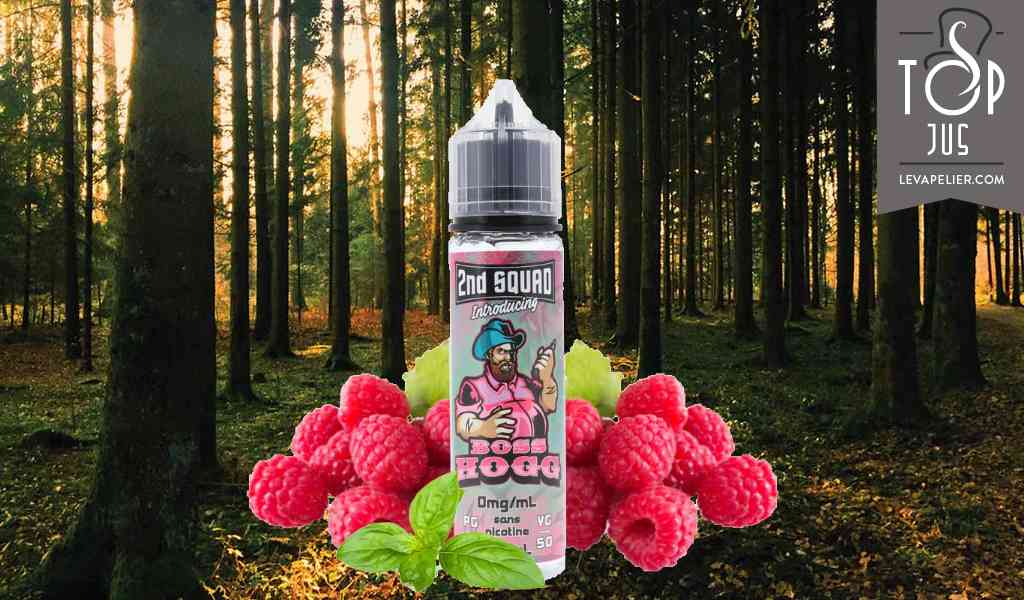 Boss Hogg (Gamme Modjo Vapor 2nd Squad) par Liquidarom